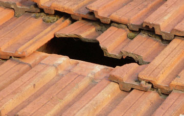 roof repair Lugg Green, Herefordshire